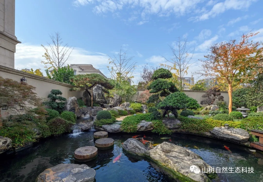 如何养好锦鲤？12项最佳水质参数告诉你！