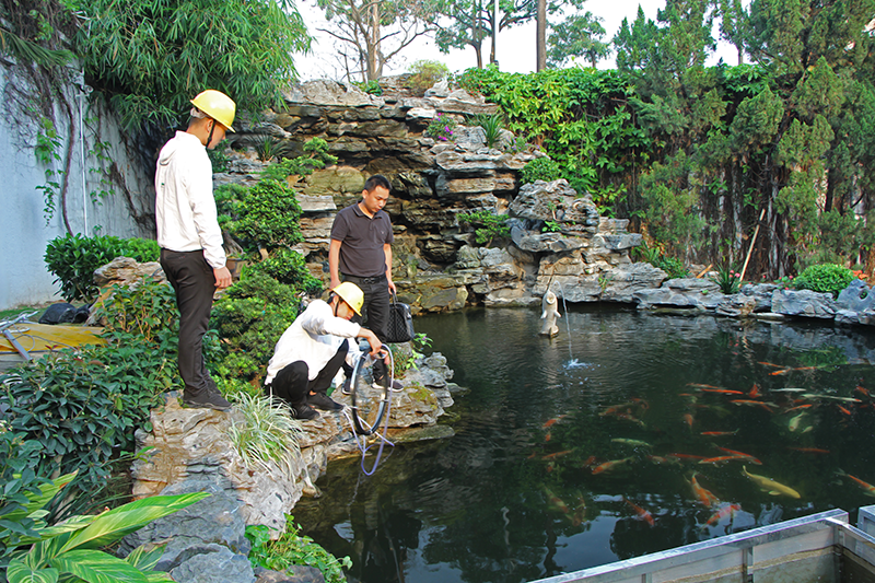 深圳富士康集团锦鲤景观池工程